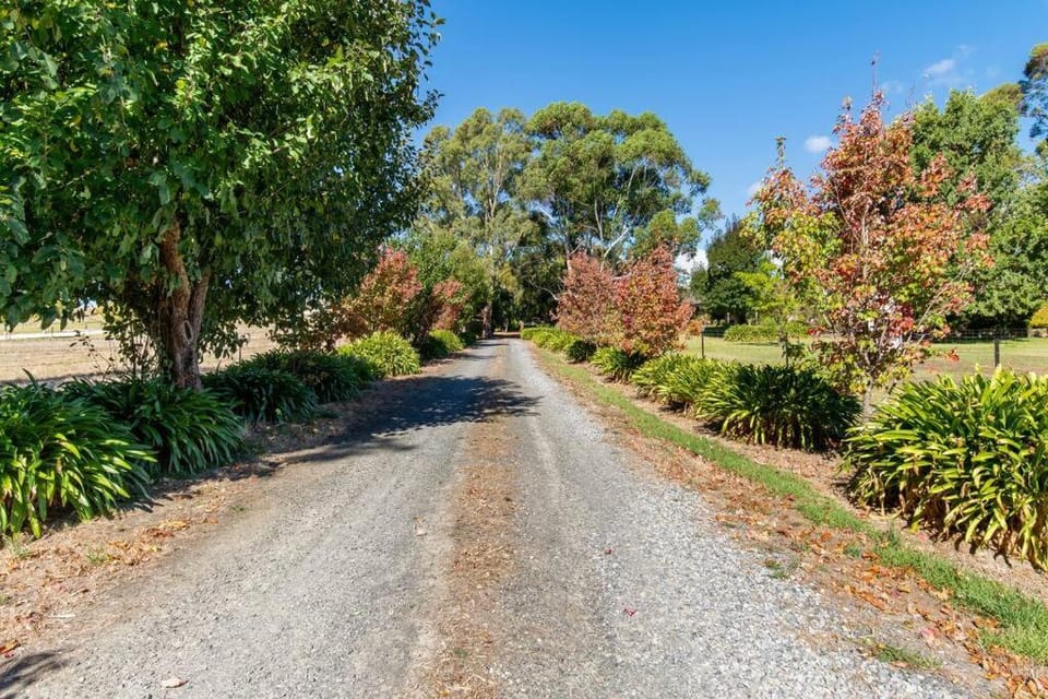 Peaceful 4-Bedroom Vineyard Retreat in Hahndorf Villa in Hahndorf