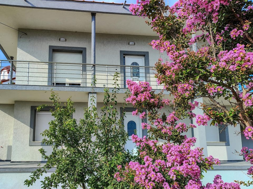 The Olive House Apartment in Evros, Greece