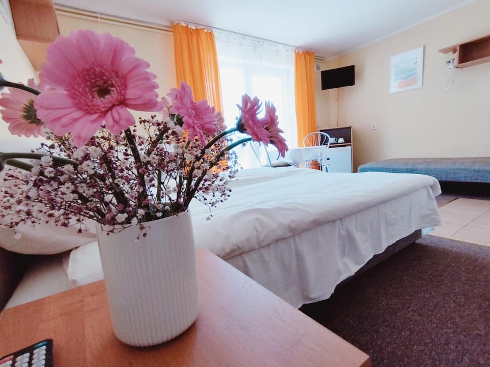 Willa AL-BA Bed and Breakfast in Leba