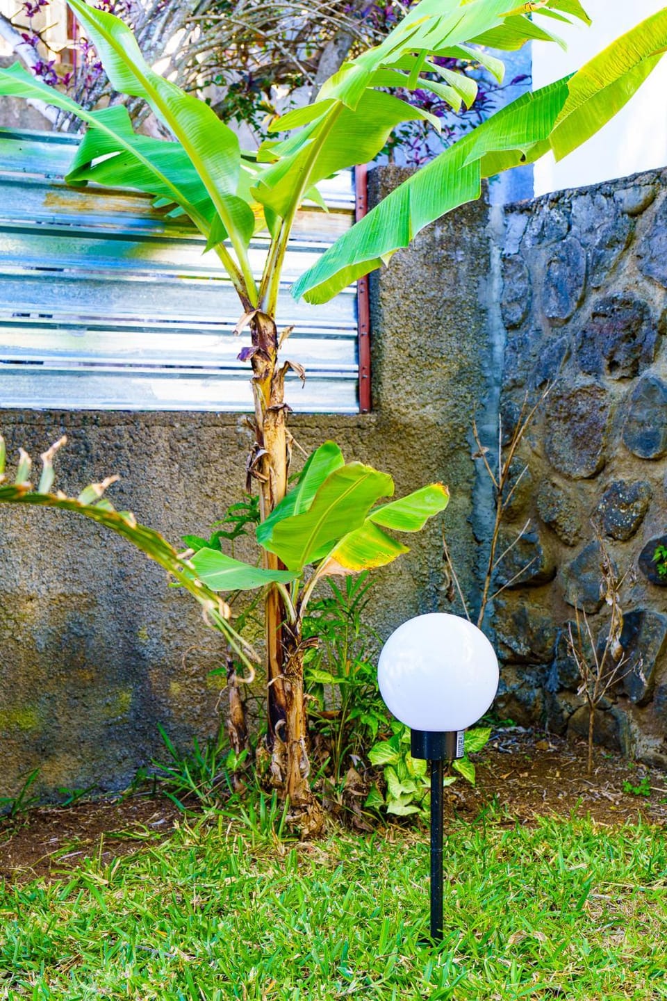 Garden, Garden