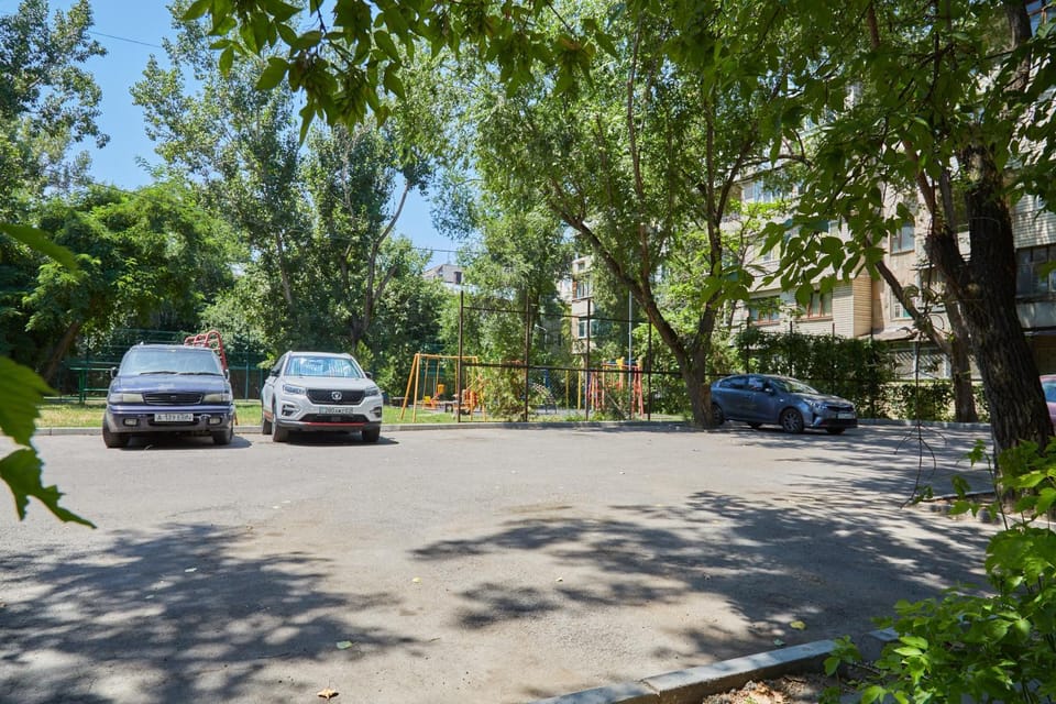 Day, Garden, Location