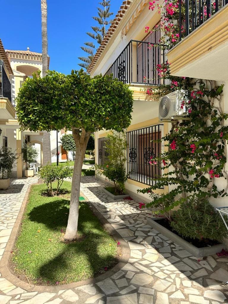 Property building, Garden, Garden view