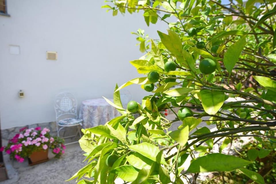 Garden, Garden view
