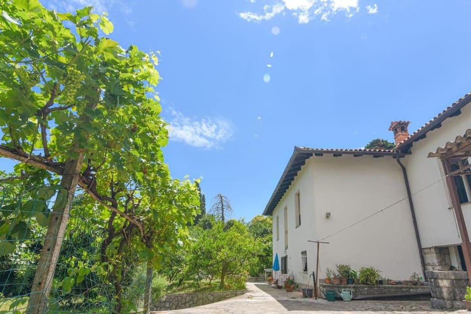 Property building, Garden view