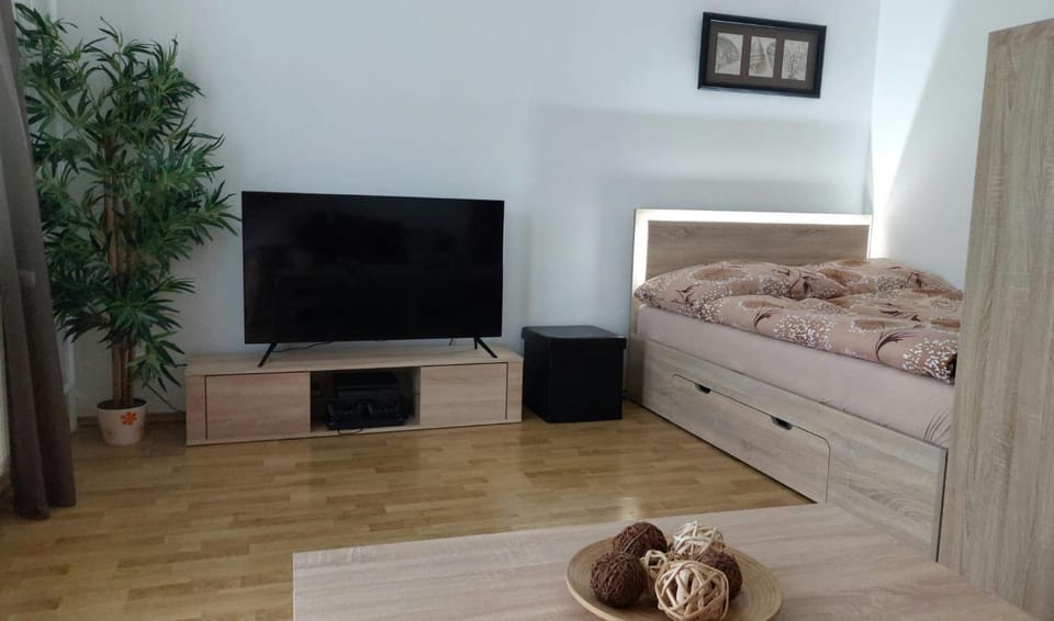 Apartmán Na Rozhledně Apartment in Czechia
