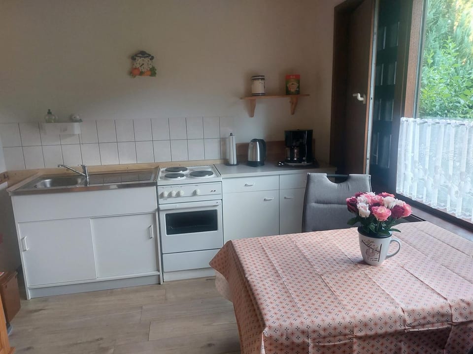 Kitchen or kitchenette, Dining area, oven