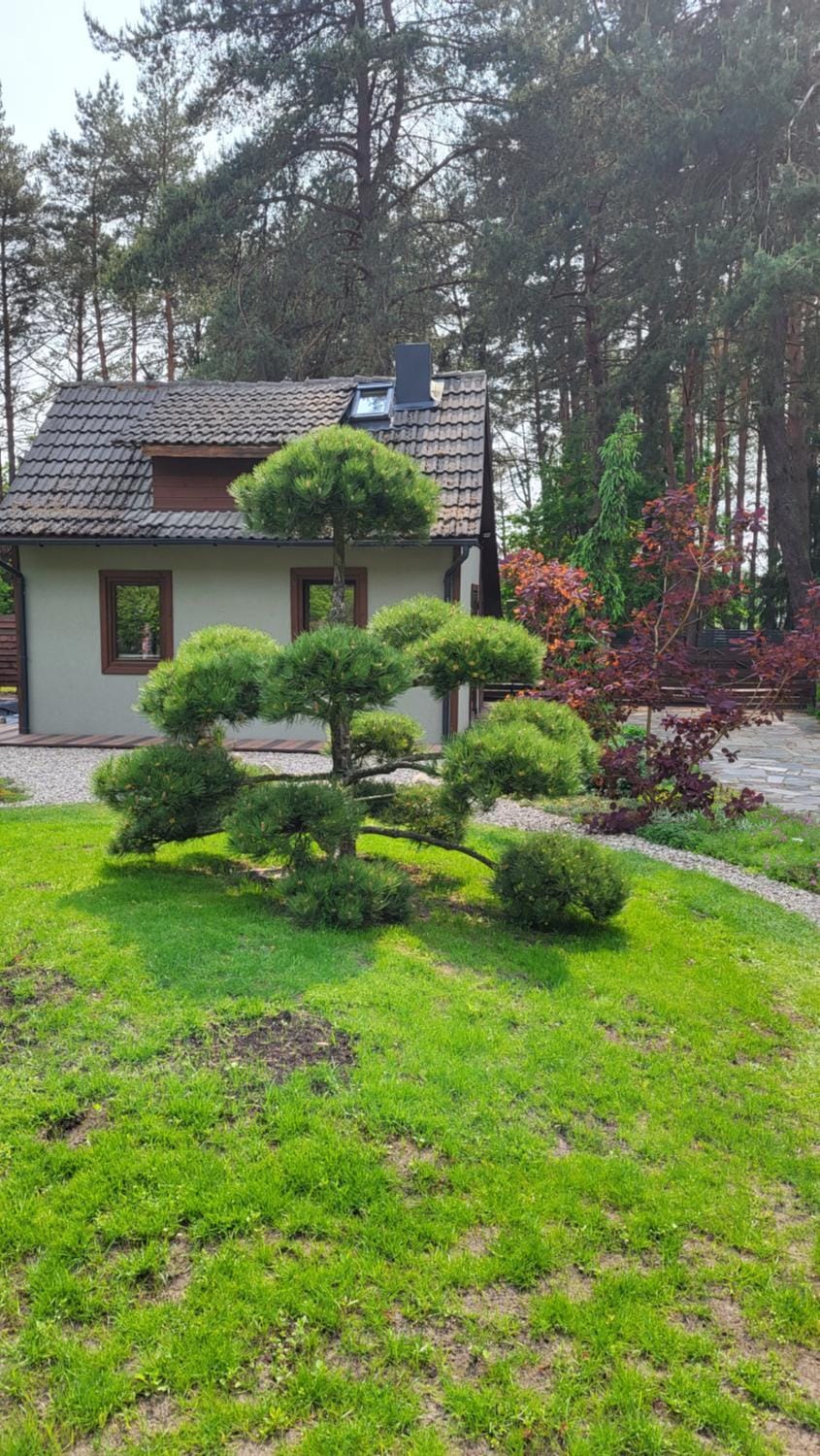 Jaukūs namai Kulautuvoje House in Lithuania