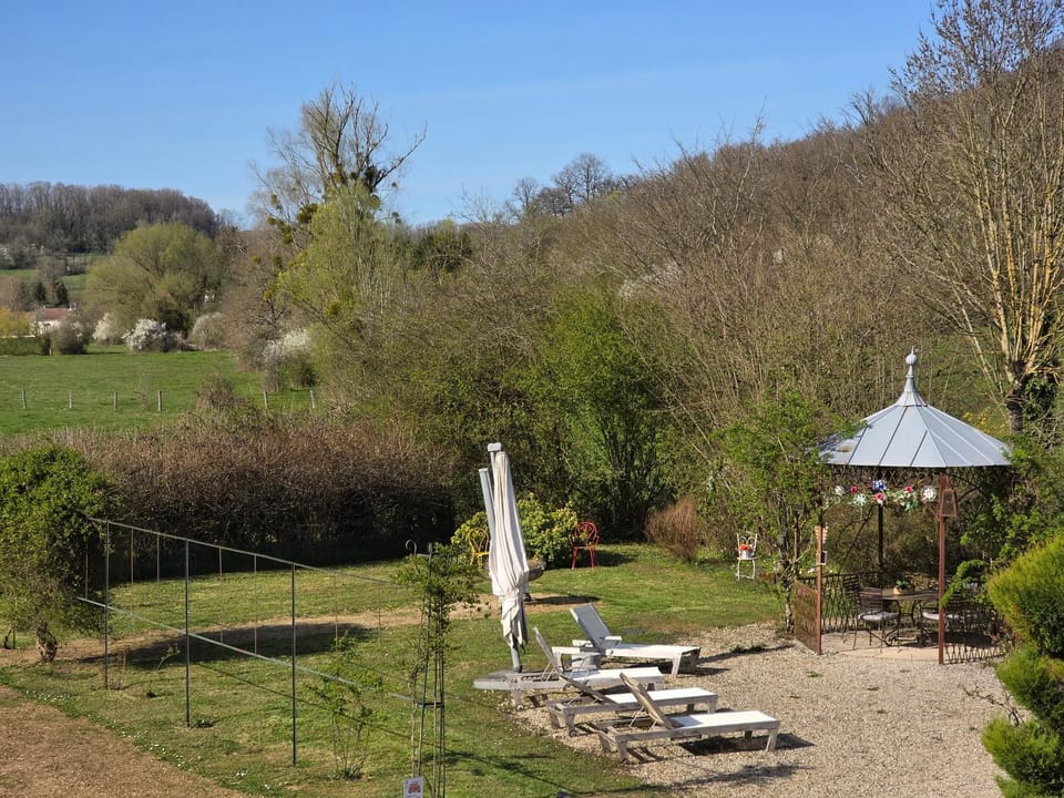 Natural landscape, Garden, Garden view, sunbed