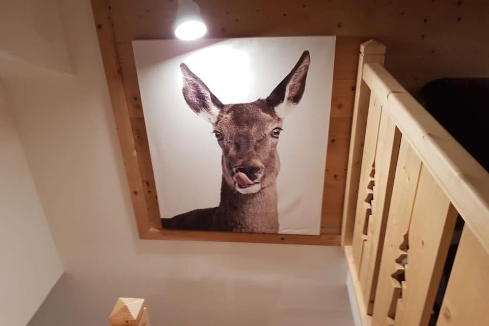 Duplex dans chalet, vue de rêve, 6 pers, 2 nuits minimum Apartment in Xonrupt-Longemer