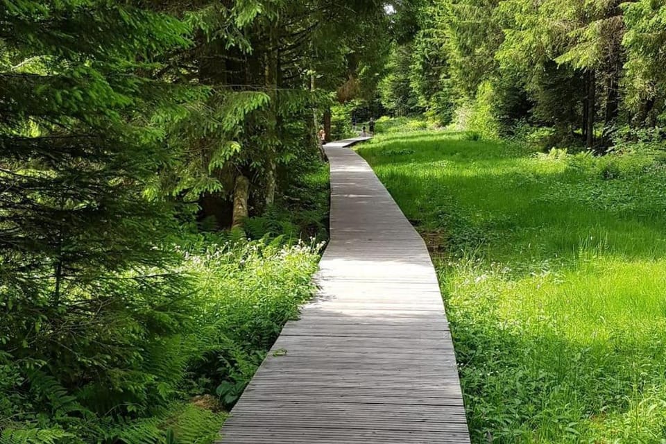 Natural landscape