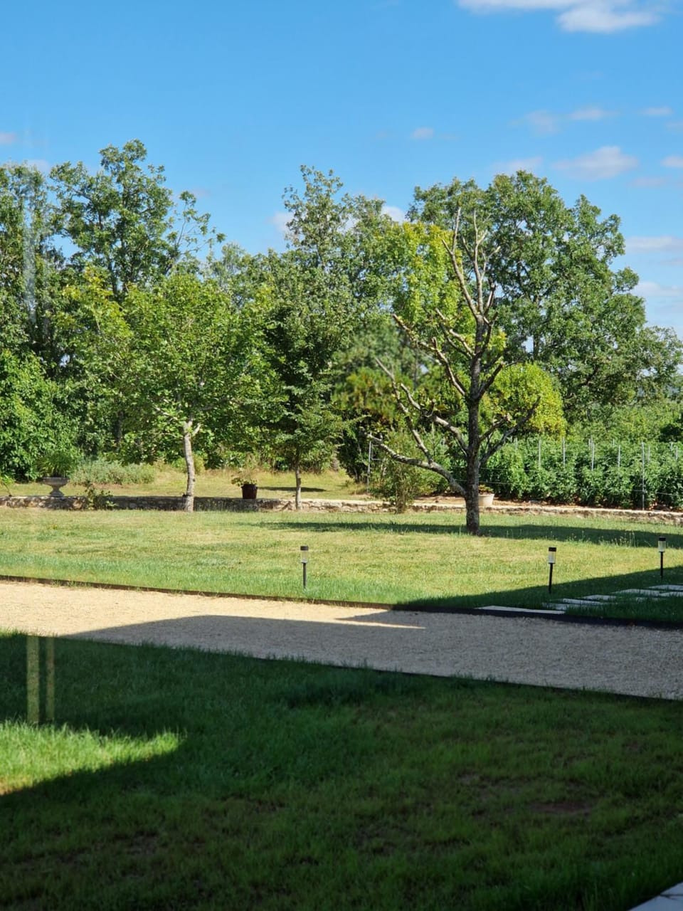Natural landscape, Garden view
