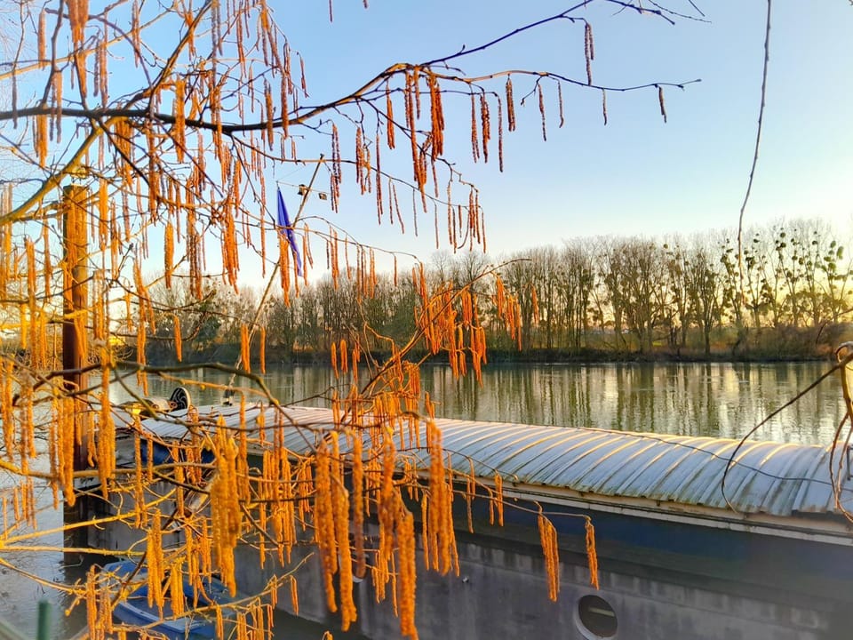 Natural landscape, River view