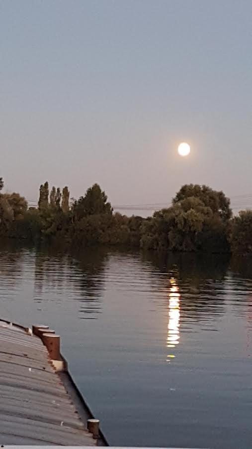 Natural landscape, River view, Sunset