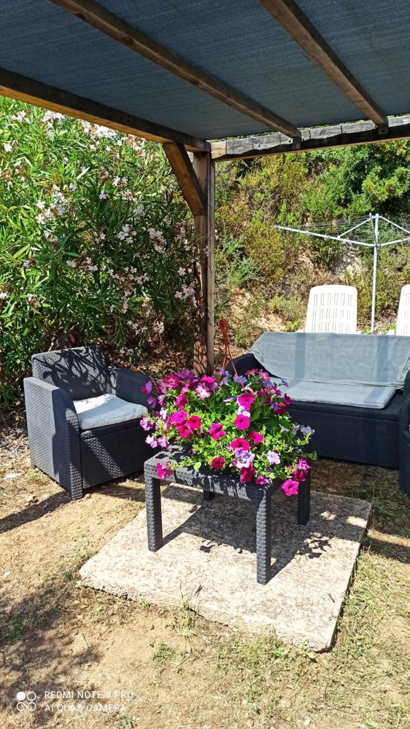 Day, Garden