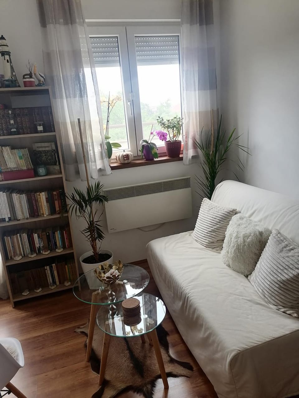 Apartman Vana Apartment in Vojvodina