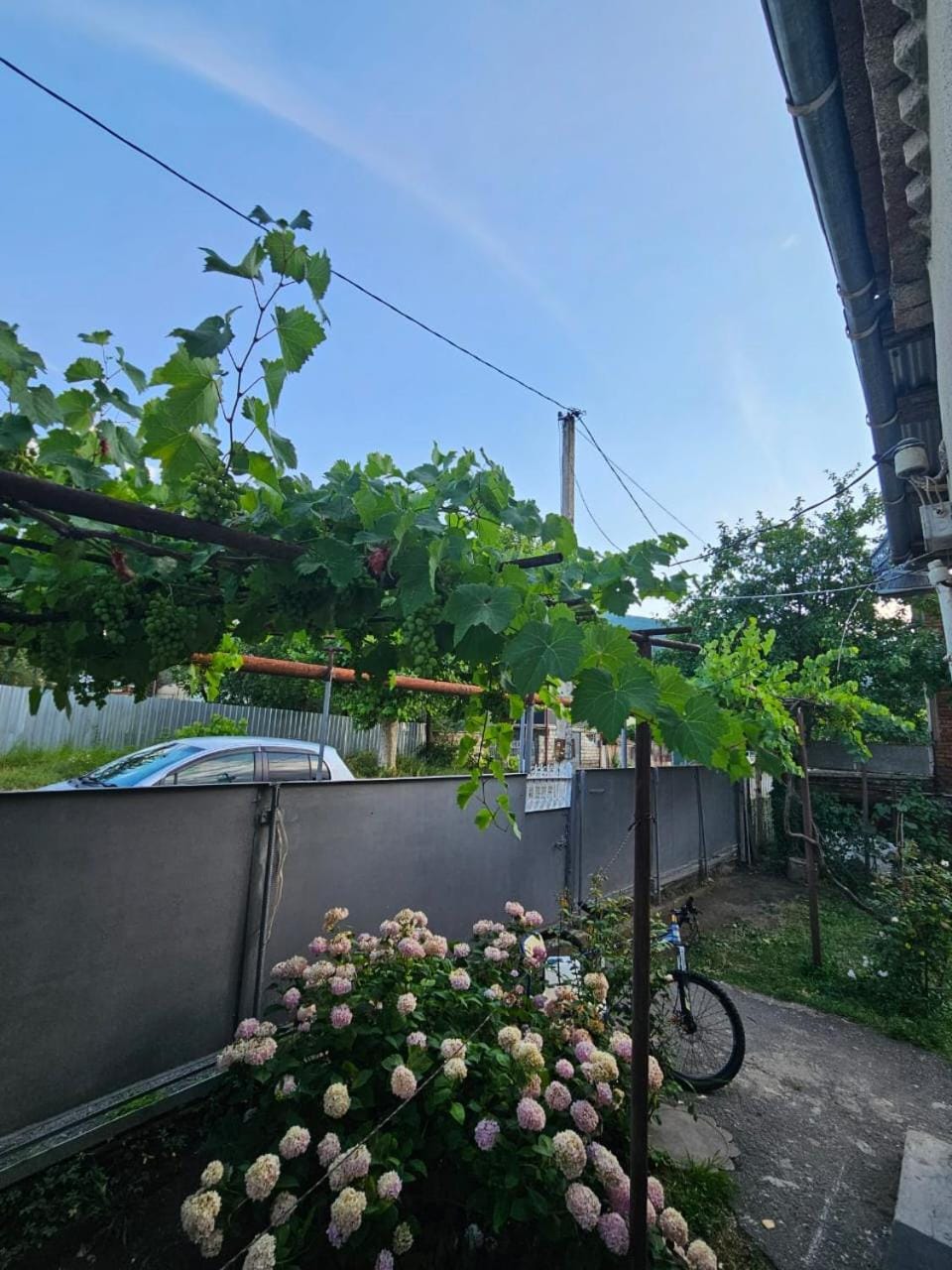 Your corner in Racha შენი კუთხე რაჭაში House in Georgia