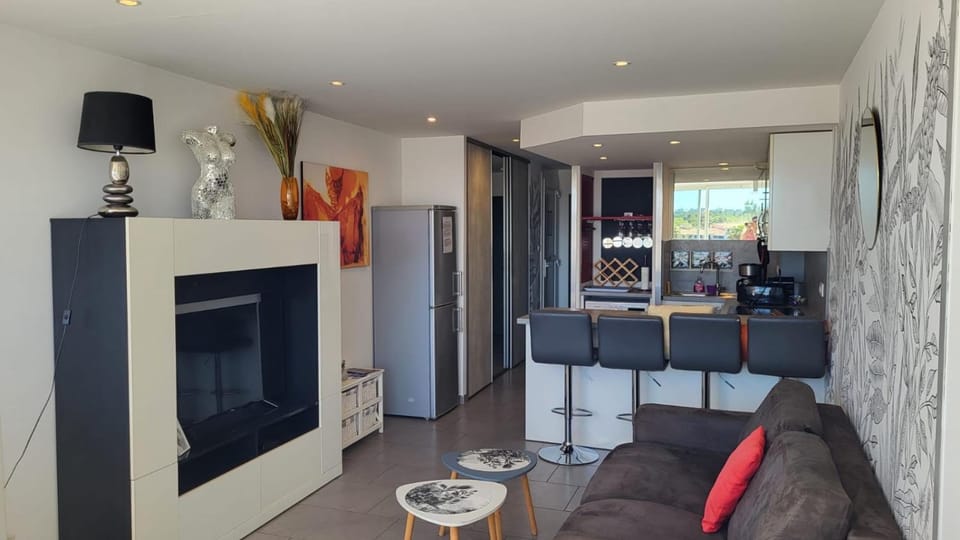 Living room, kitchen