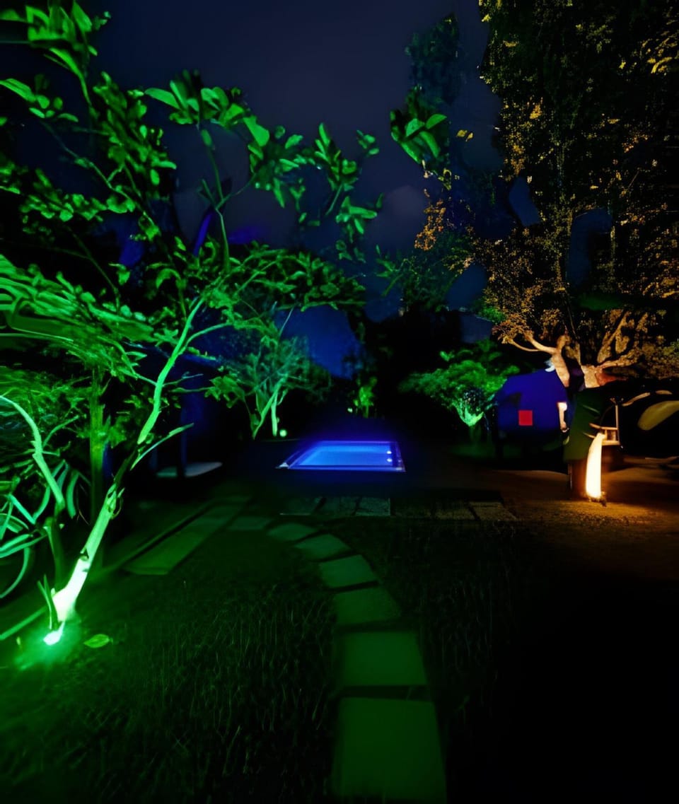 Night, Natural landscape, Garden, Garden view, Swimming pool