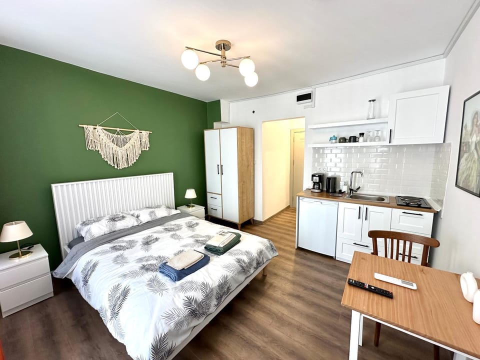 Bed, Kitchen or kitchenette, Living room, Photo of the whole room, Seating area, Dining area, Bedroom, minibar, pet friendly, stove, towels, wardrobe, air conditioner