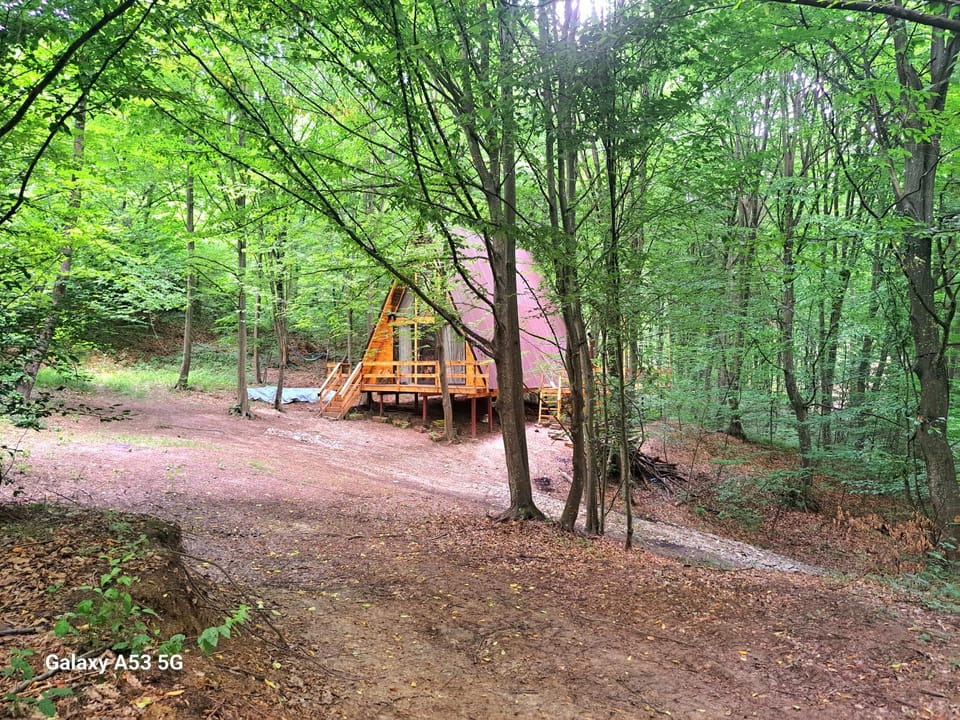 CabanaAframe House in Romania