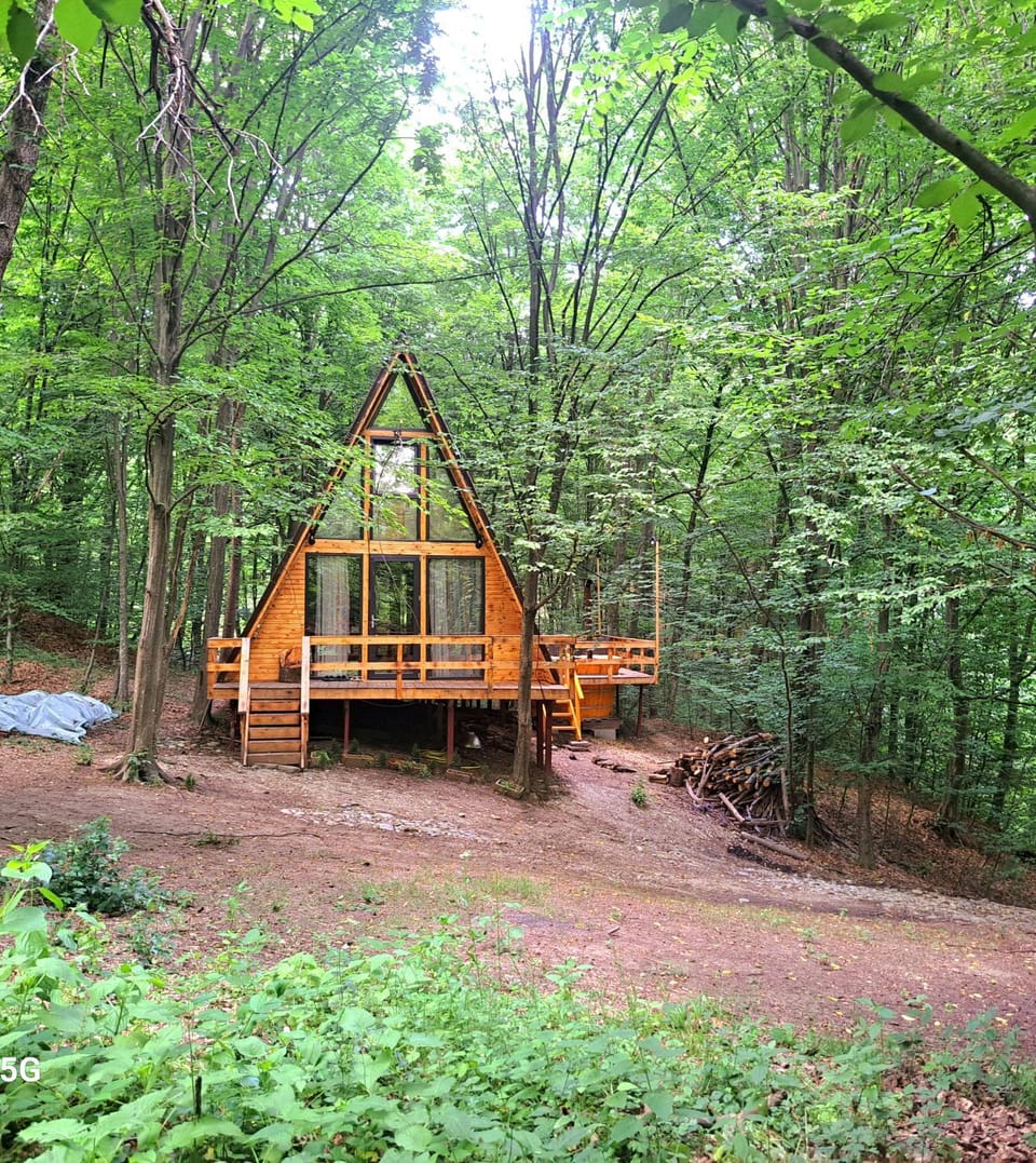 CabanaAframe House in Romania