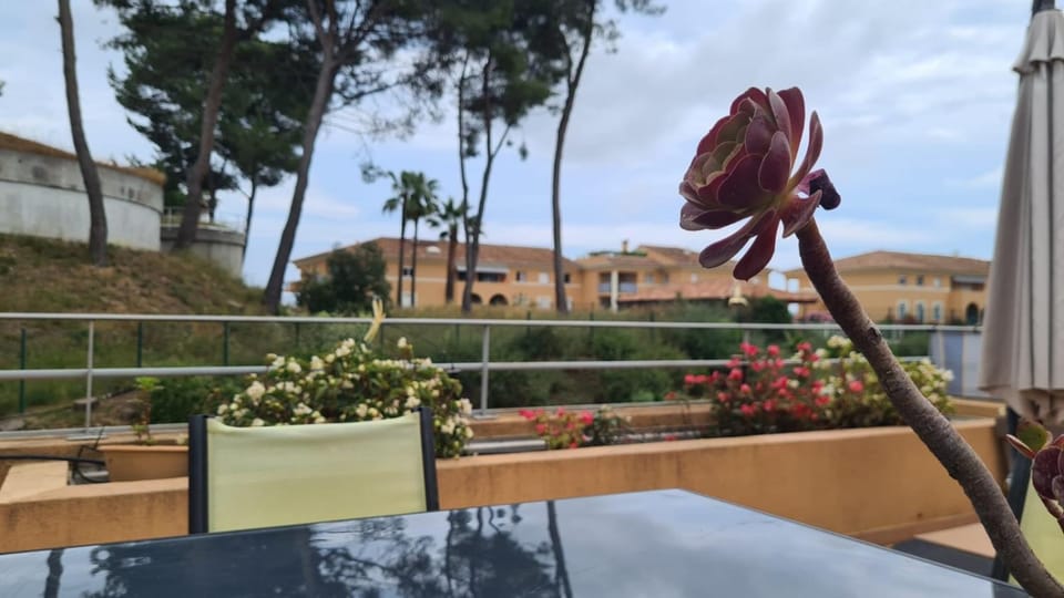 Balcony/Terrace, Dining area