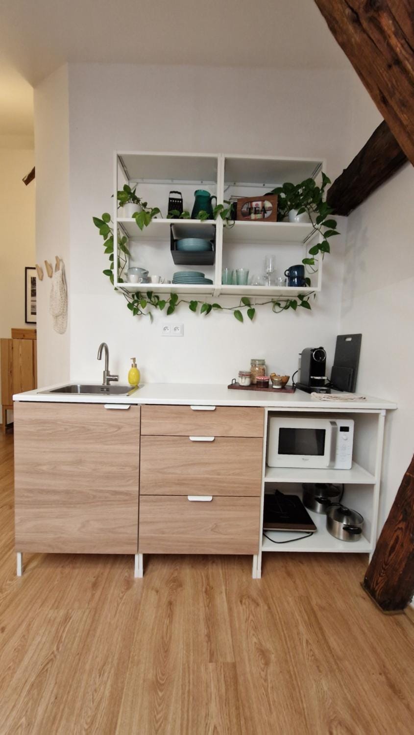 Povala s parkovaním staré mesto Apartment in Slovakia