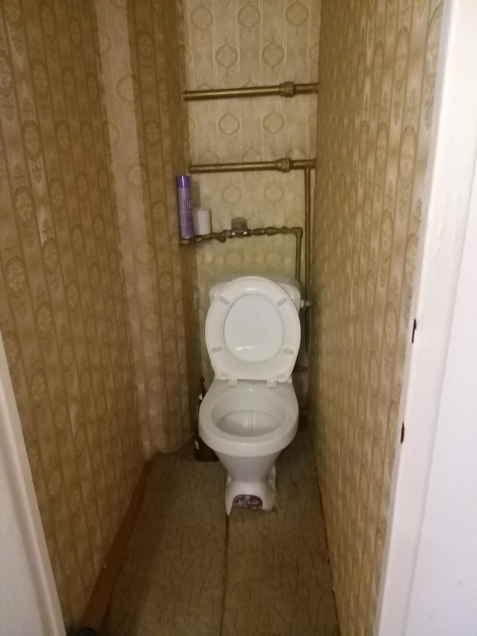 Toilet