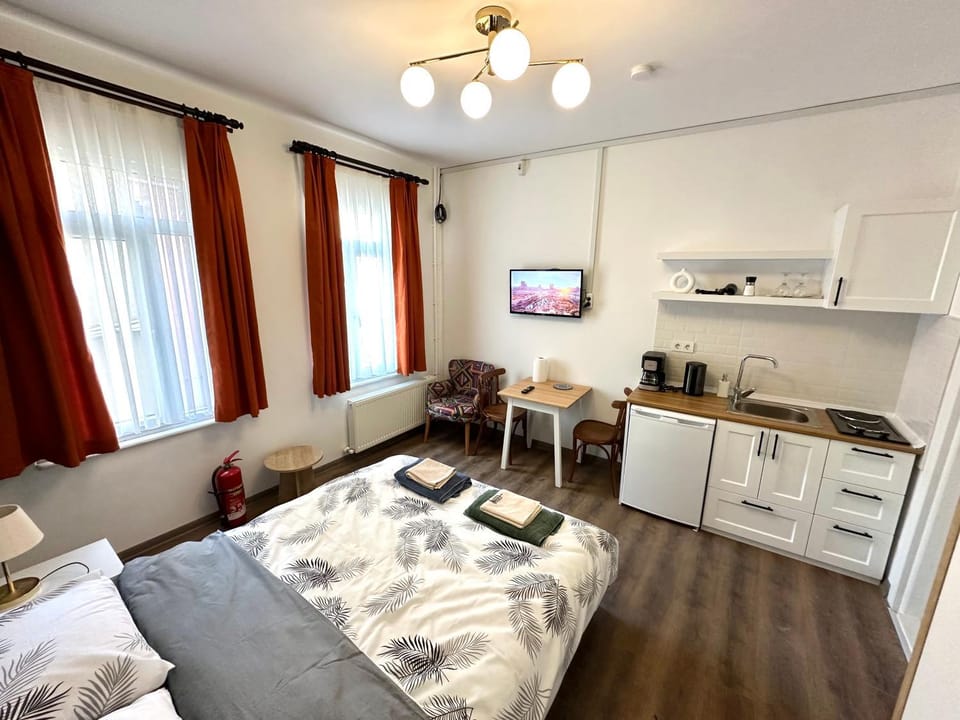 Bed, TV and multimedia, Kitchen or kitchenette, Living room, Photo of the whole room, Seating area, Dining area, Bedroom, minibar, stove