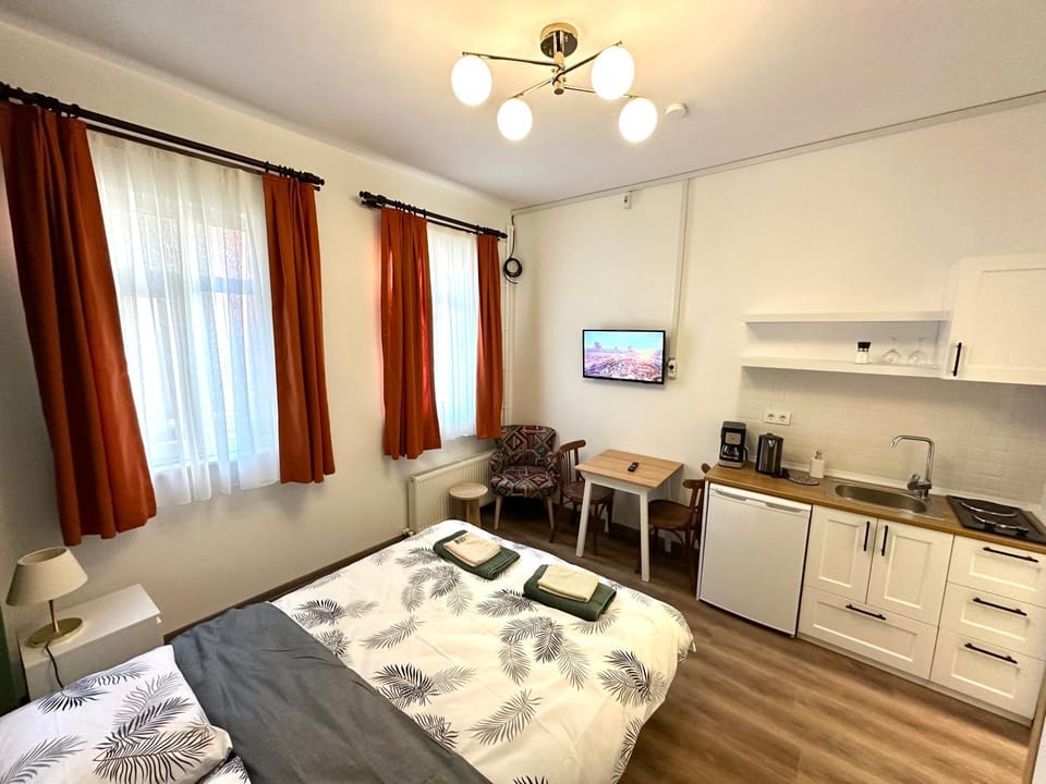TV and multimedia, Kitchen or kitchenette, Photo of the whole room, Bedroom, stove