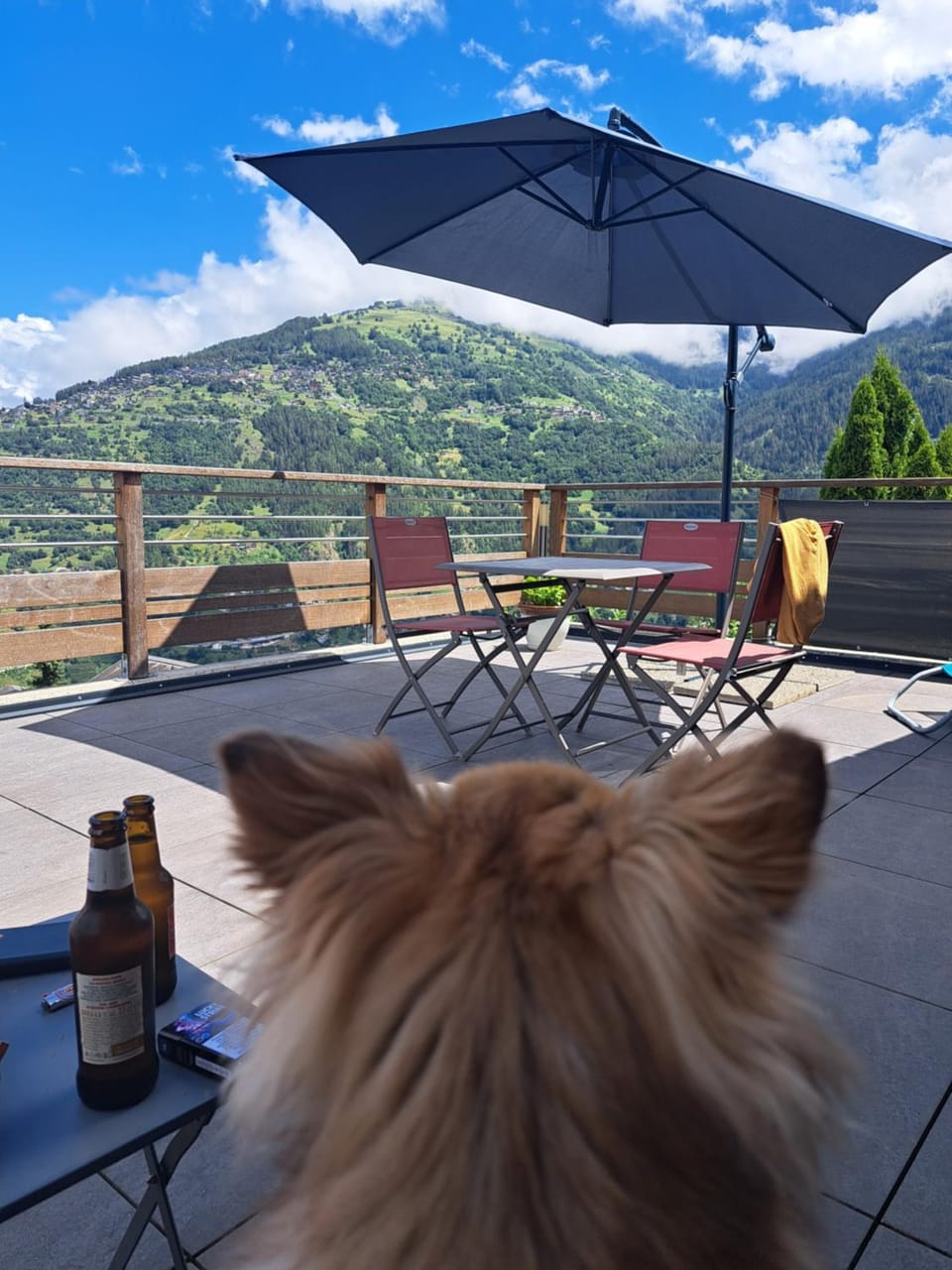 Day, View (from property/room), Balcony/Terrace, Internal: Not applicable to any particular room