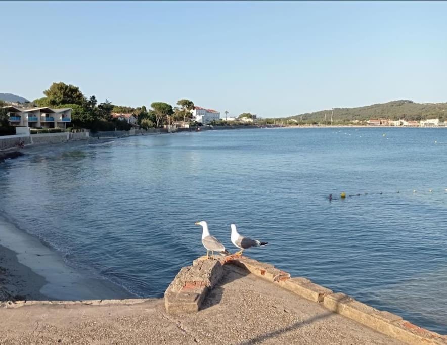 Bas de Villa "Au sud" à 250m de la mer House in La Seyne-sur-Mer
