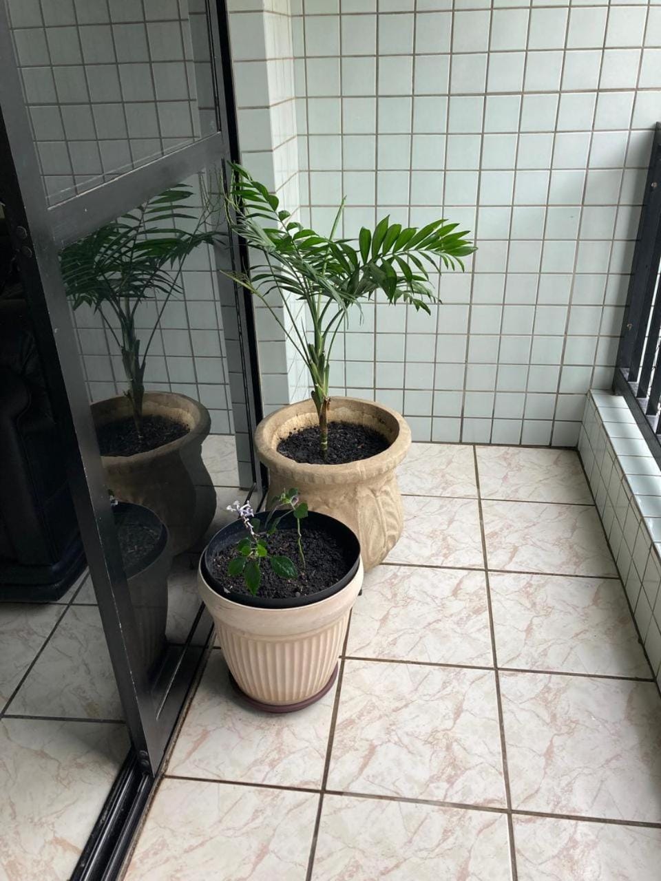Sossego na PG Apartment in State of São Paulo