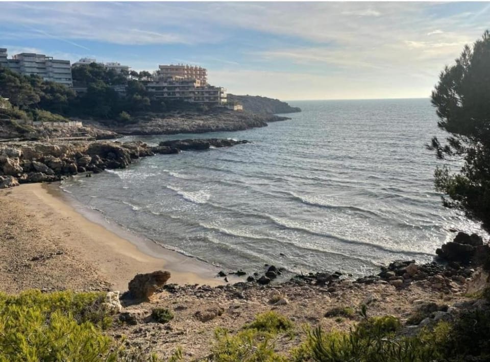 Natural landscape, Beach