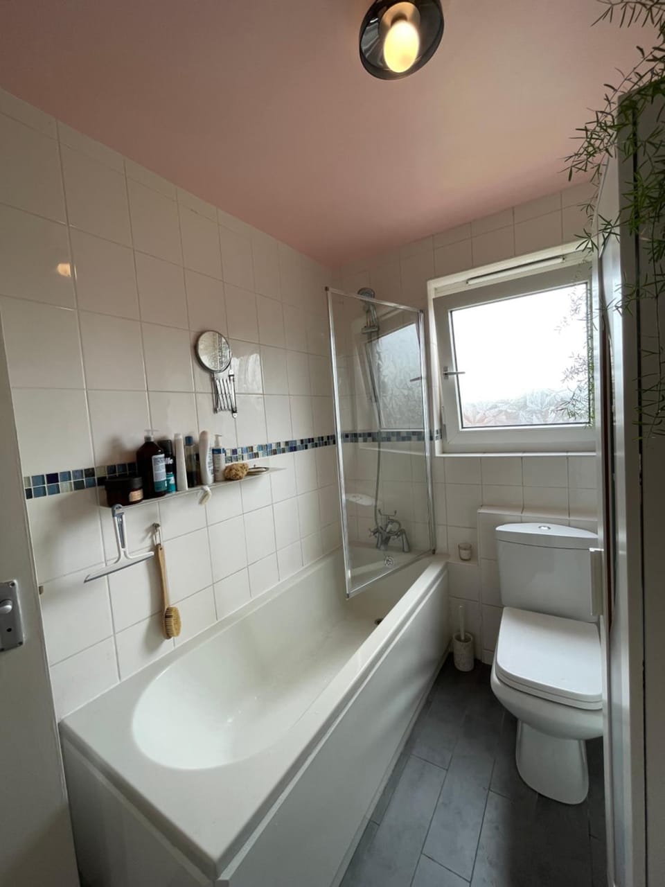 Shower, Toilet, Bathroom, Bath