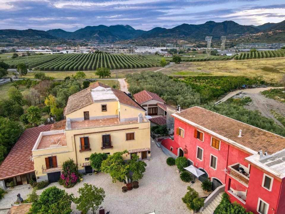 Tenuta degli Ulivi - Dimora Contadina House in Campania