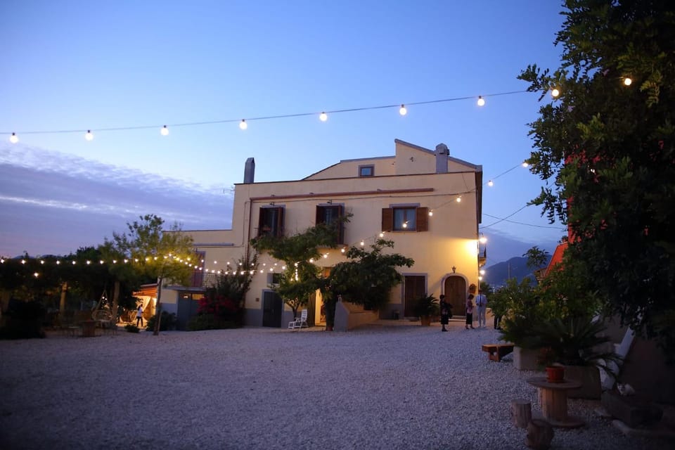 Property building, Garden view