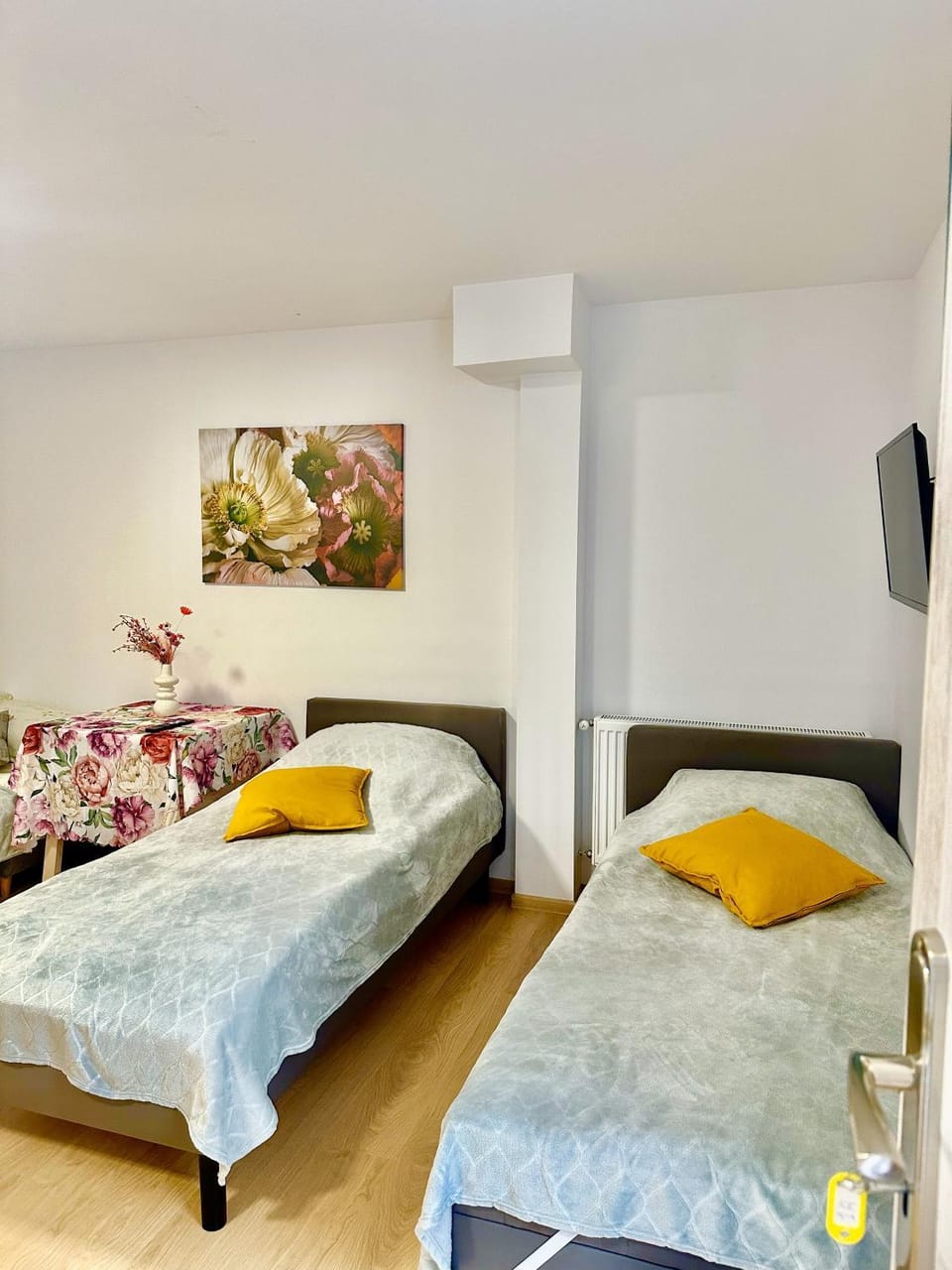 Bed, TV and multimedia, Photo of the whole room, furniture