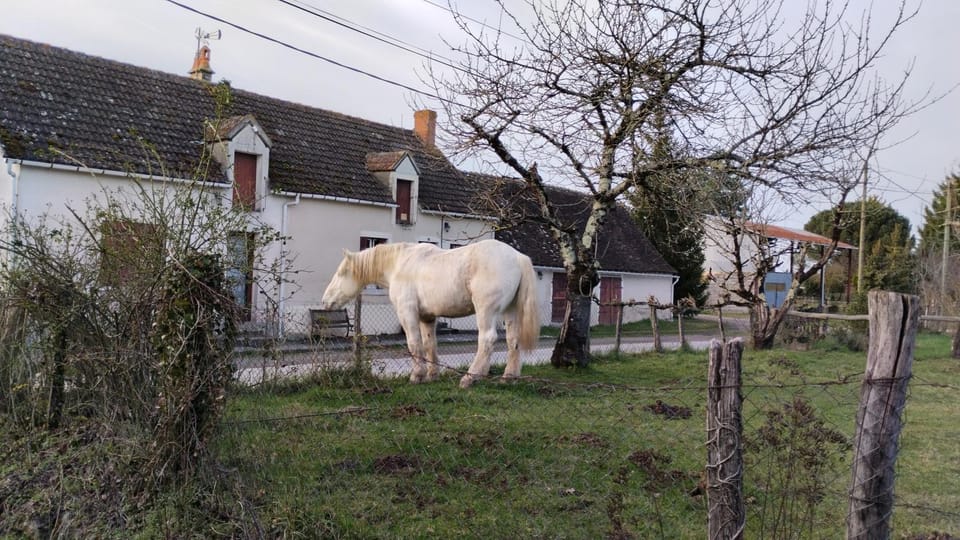 Gite 3 du Bas Coudreau House in Centre-Val de Loire