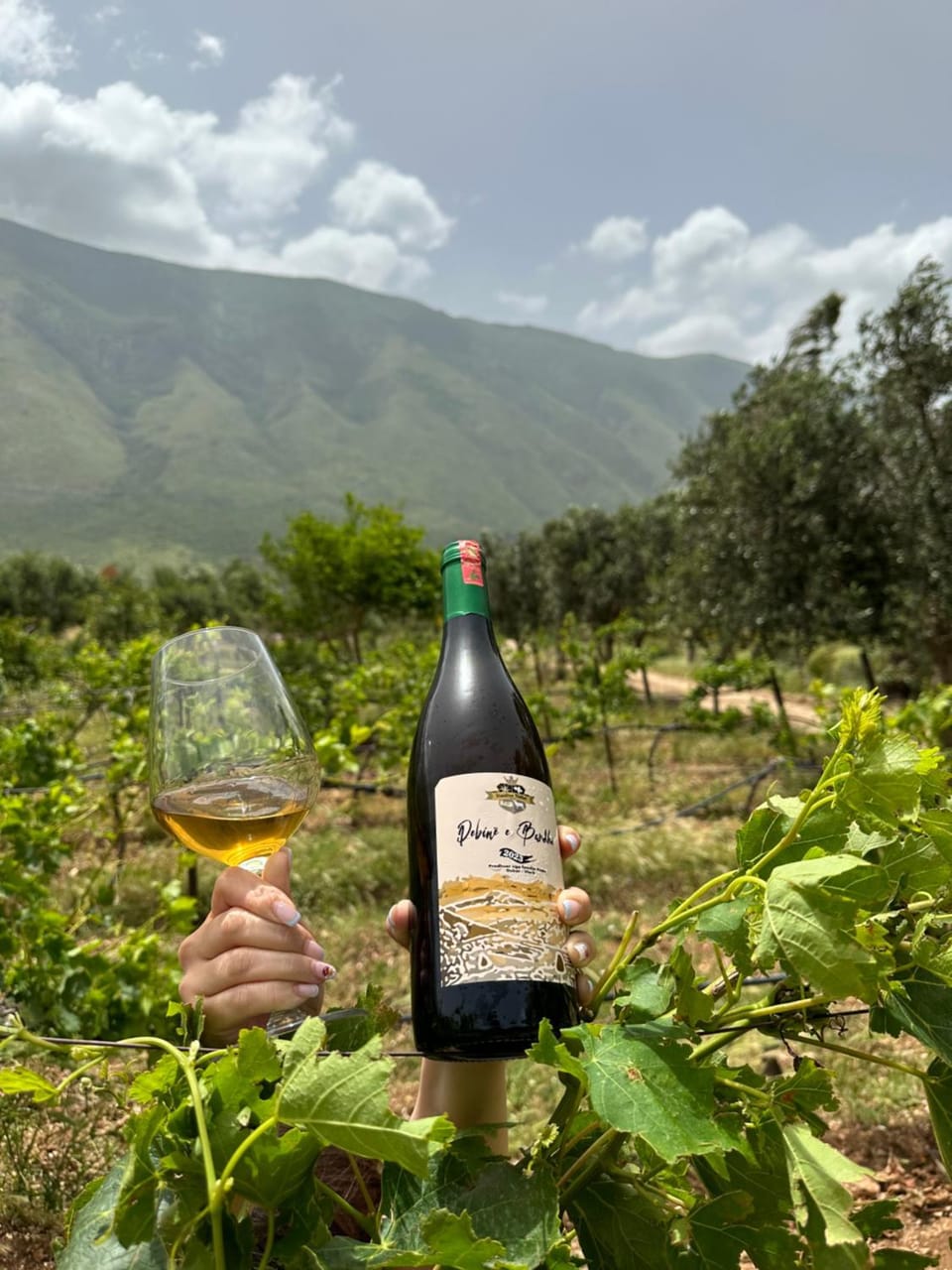 Spring, Natural landscape, Food and drinks, Mountain view, Drinks, Alcoholic drinks