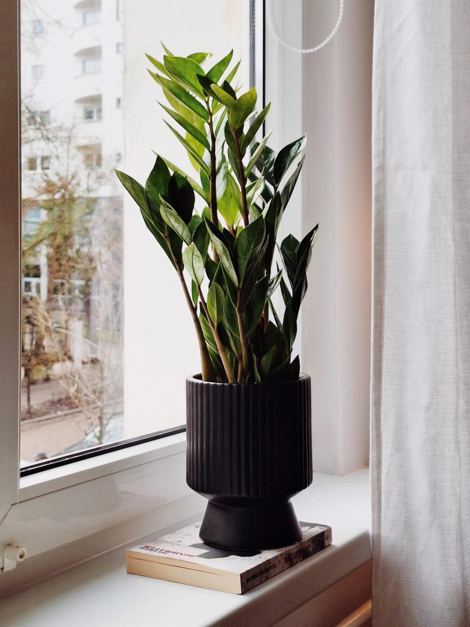 Apartament Gdynia Starowiejska Apartment in Pomeranian Voivodeship