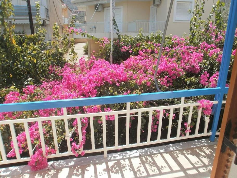 2 space- selfcatering Apartment Helen No 8 Apartment in Argolis, Greece