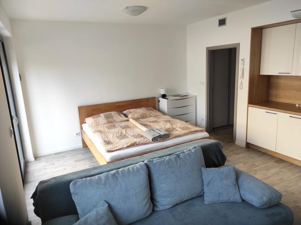 Apartmán X06 Apartment in South Moravian Region