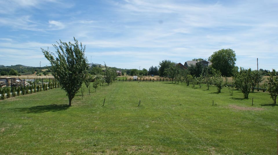 Spring, Day, Natural landscape, Garden, Garden, Garden view