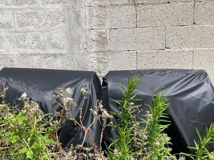 Logement cosy à 15 mn de la gare saint Lazare et 30 mn de l'aéroport Charles de Gaulles Apartment in Île-de-France