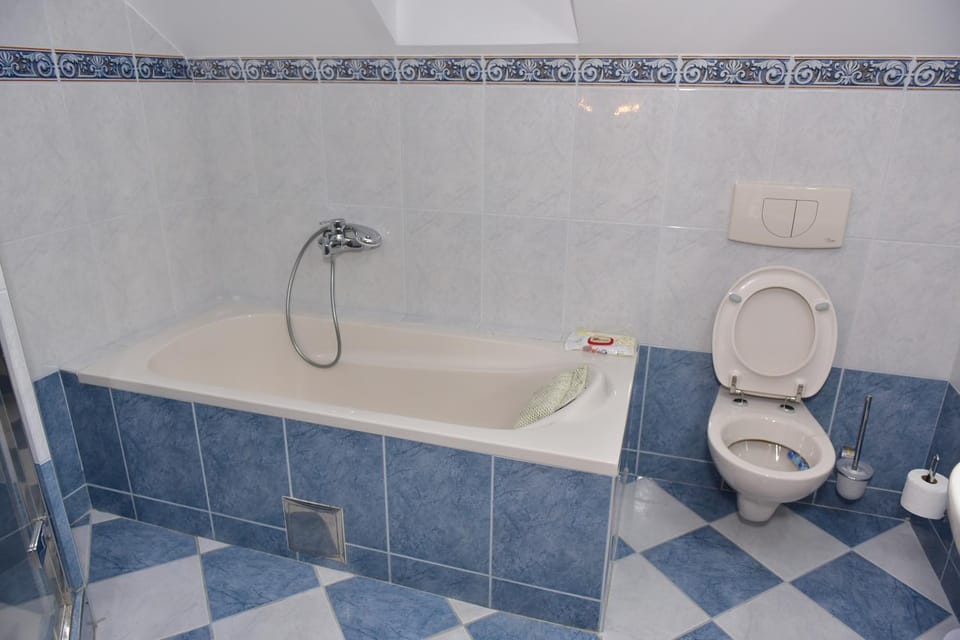 Royal Blue Rose Apartment in Serbia