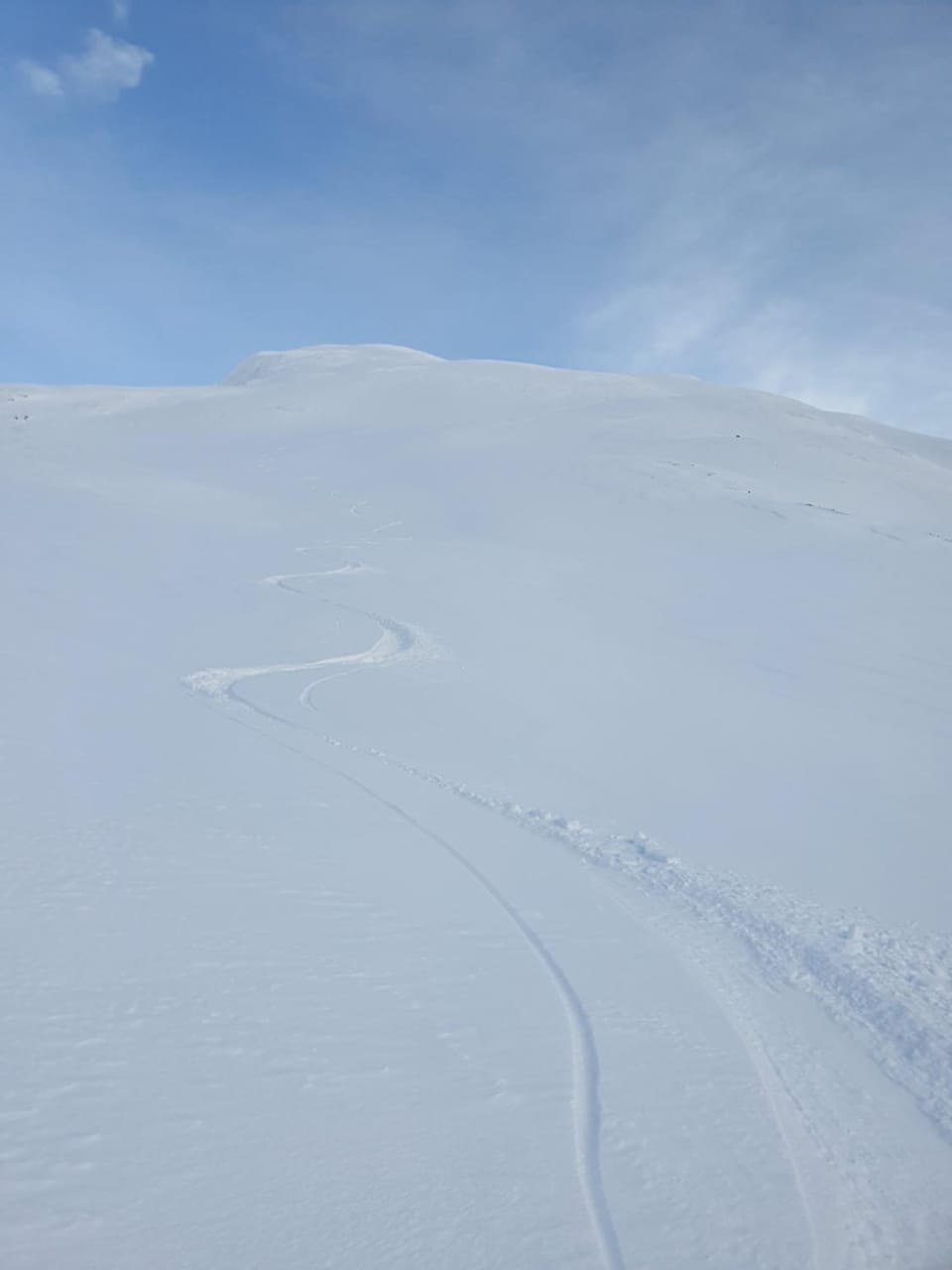 Skiing