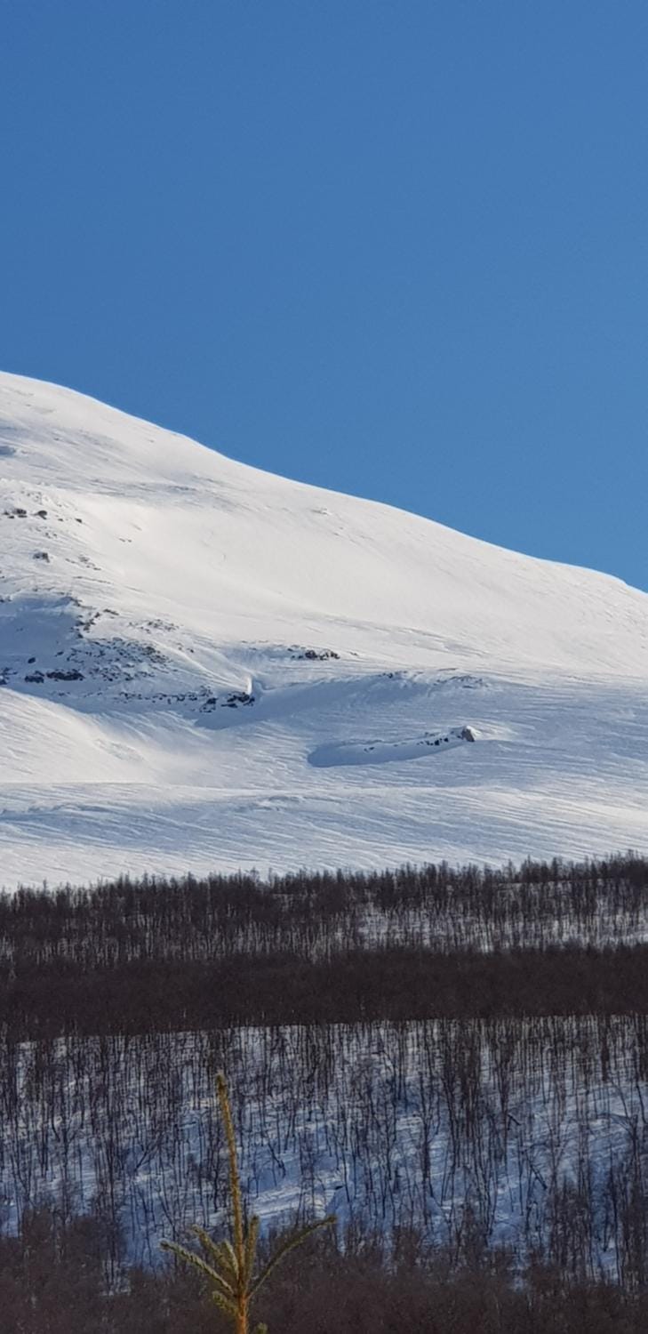 Skiing