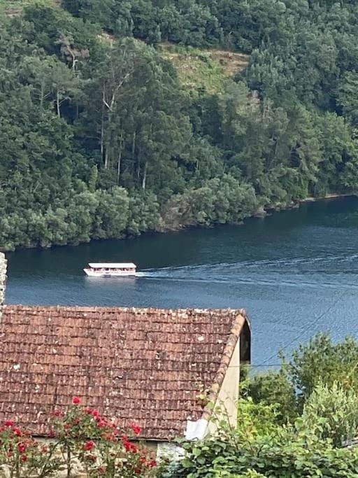 Natural landscape, River view