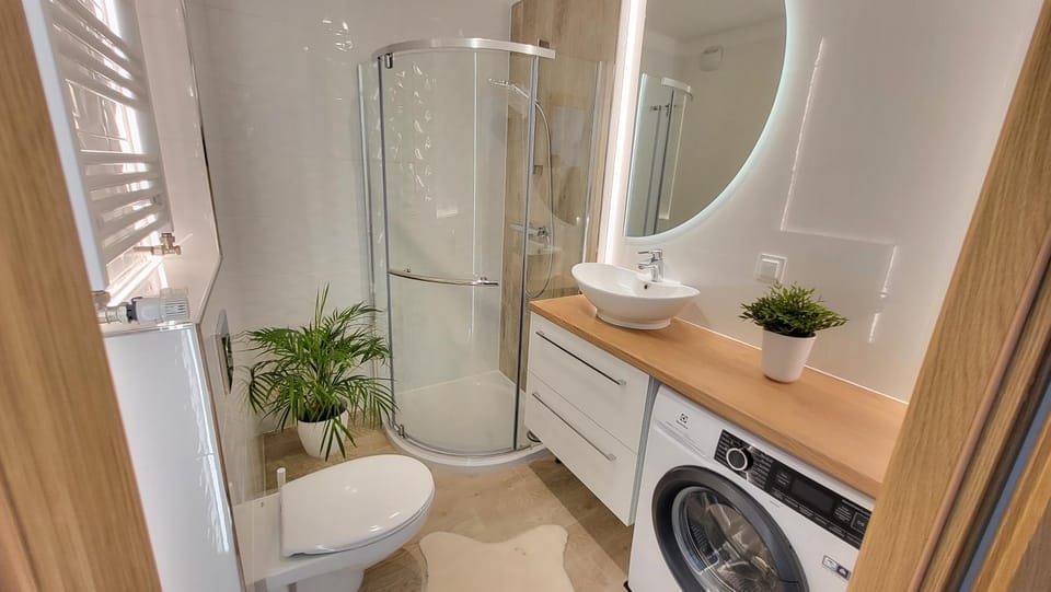 Toilet, Bathroom, washing machine